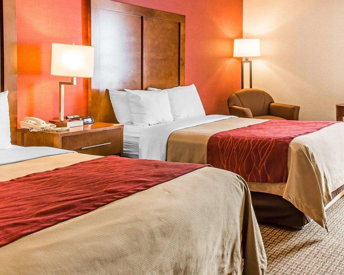 Comfort Inn Boston - thumb 22