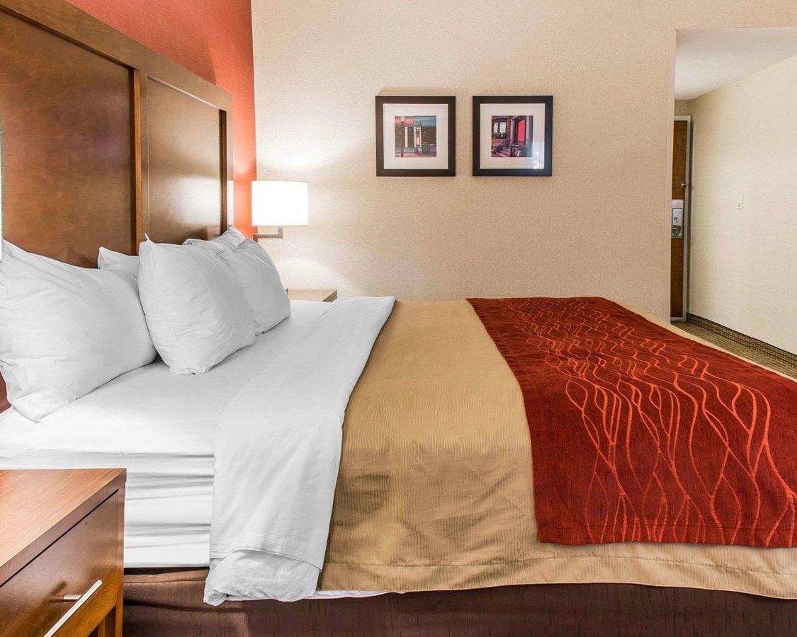 Comfort Inn Boston - thumb 20