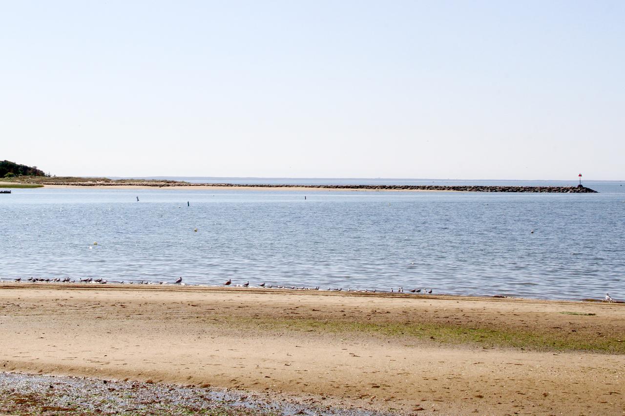 265 Main Street House - thumb 14