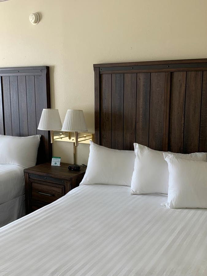 Yellowstone Lodge - thumb 10