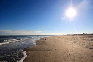 Courtyard Condominium #226