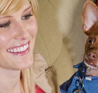 Home2 Suites By Hilton Omaha Un Medical Ctr Area - Accommodation Texas