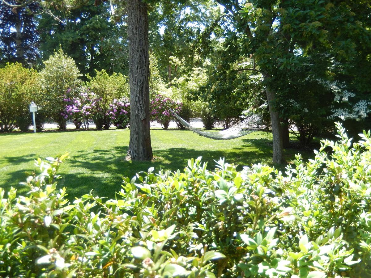 The Hedges Inn - thumb 18