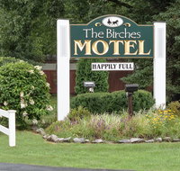 Birches Motel - Accommodation Texas