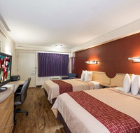 Red Roof Inn Hickory - Accommodation Texas