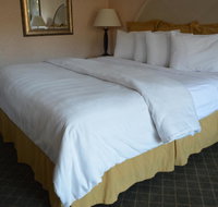 Chapel Hill University Inn - Accommodation Texas