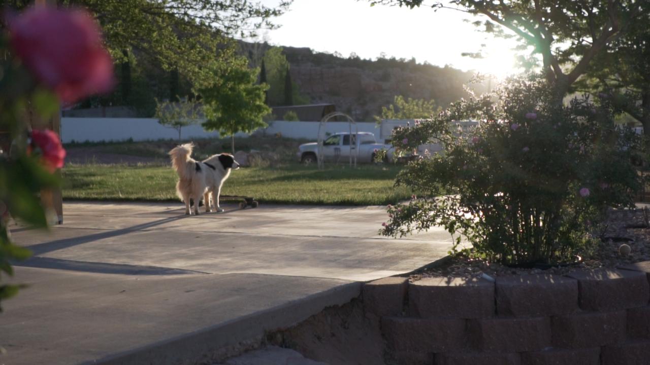 Zion's Blue Sage Bed & Breakfast - thumb 39