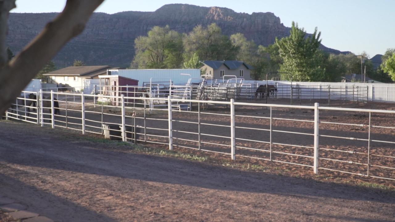 Zion's Blue Sage Bed & Breakfast - thumb 38