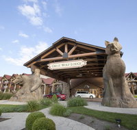 Great Wolf Lodge Williamsburg - Accommodation Texas