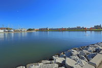 Booking Arena Accommodation Texas