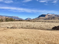Yellowstone Cutthroat Guest Ranch