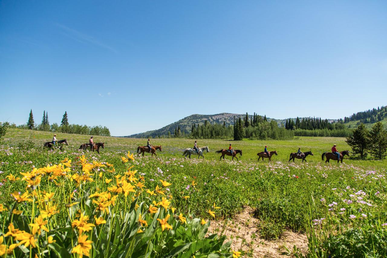 Targhee Lodge By Grand Targhee Resort - thumb 11