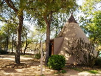 5 Yellow Flower - Tipis on the Guadalupe Accommodation Texas