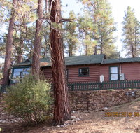 Apple Bear Cabin - Accommodation Texas