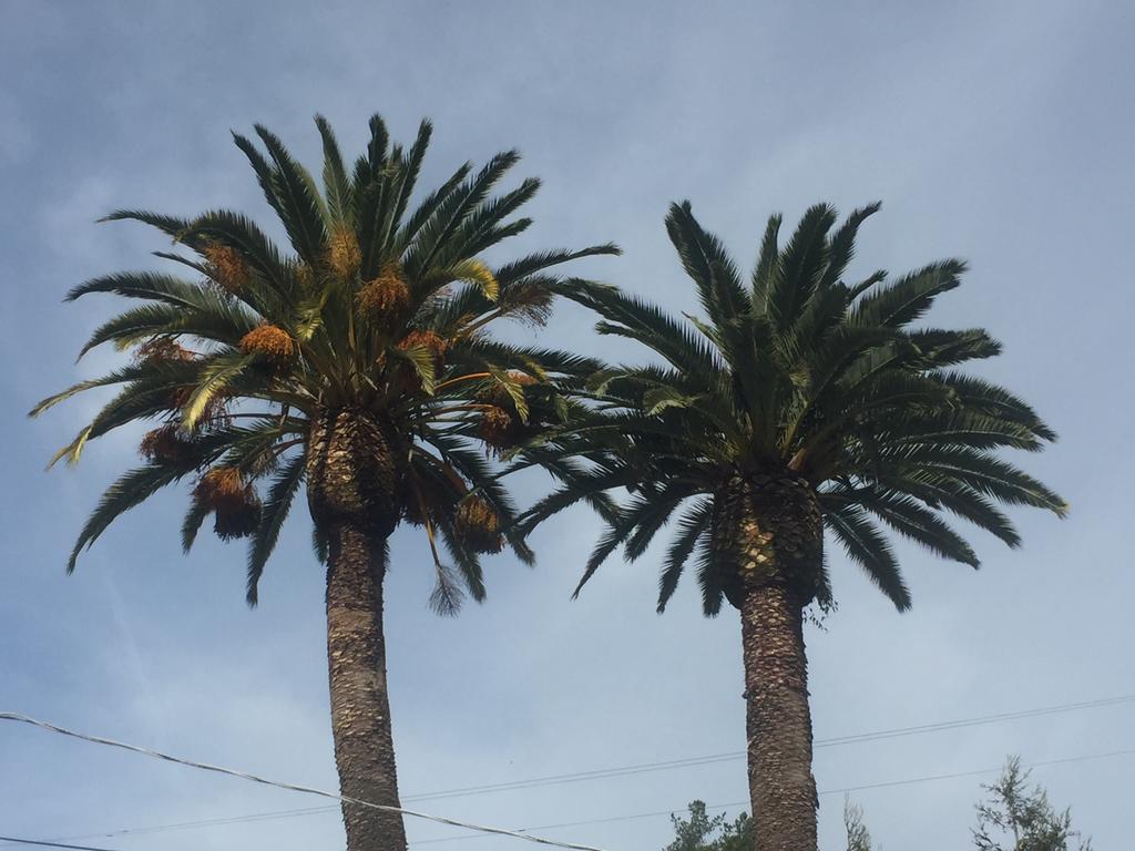 Cambria Palms Motel - thumb 3