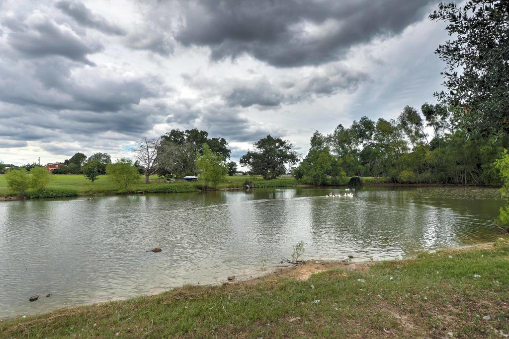 Carmine Cottage On 60-Acre Farm With Porch & Pond! - thumb 1