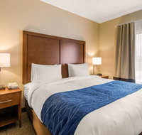 Comfort Inn  Suites IAH Bush Airport  East - Accommodation Texas