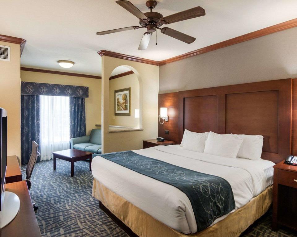 Comfort Suites Gainesville - thumb 1