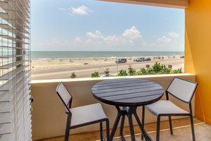Condo Di Cocco - KooKoo4Cocco