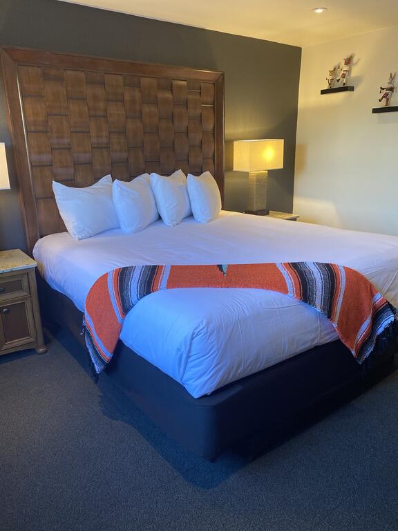 Coyote South - thumb 3