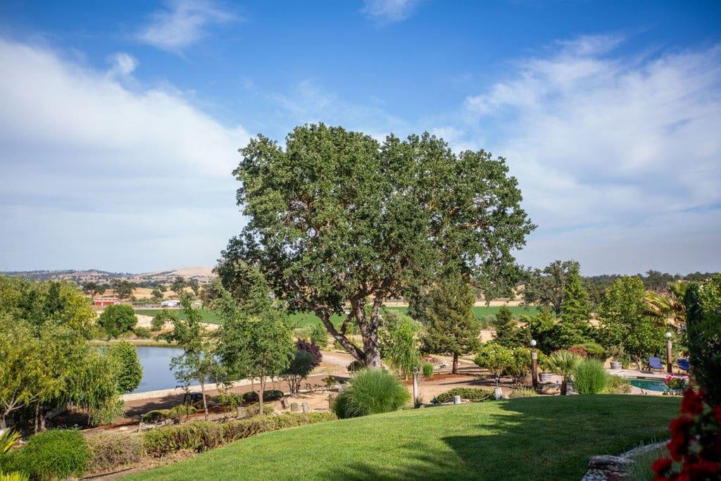 Family Friendly Ranch With Pool - thumb 1