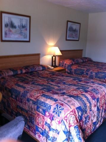 Gold Inn - thumb 1