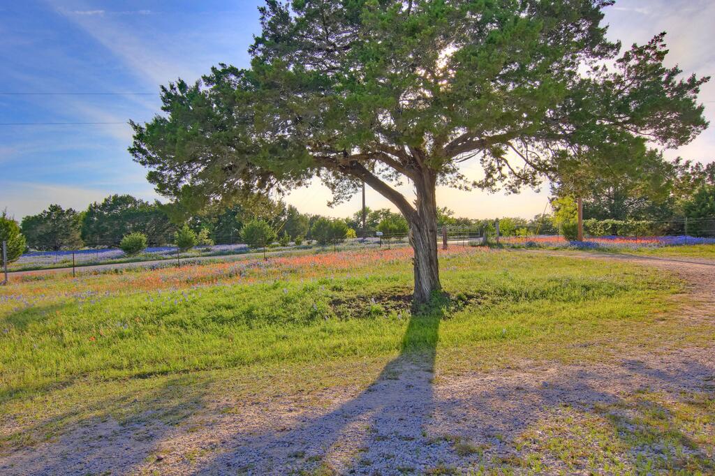 Heart Of Texas Ranch, Minutes From Marble Falls, Perfect For Large Groups, Corporate Retreats - thumb 1