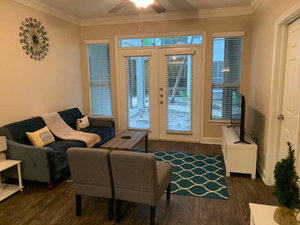 Luxury Home Near MD Anderson, NRG & Shopping