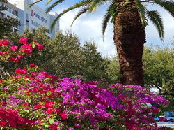 Palm Beach Gardens Marriott