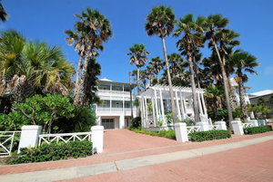 Palm House 8306