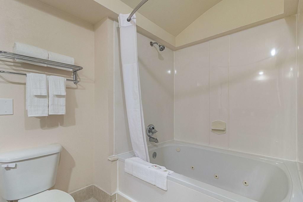 Quality Inn & Suites West Chase - thumb 3