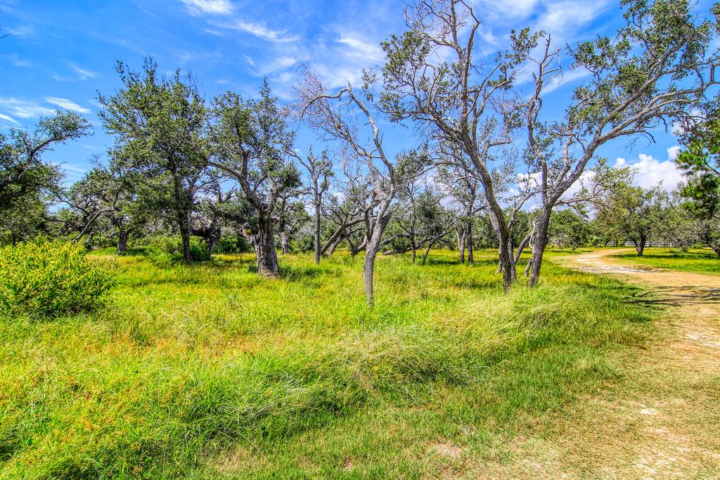 Ranch Living! Located On 18 Acres! Close To The Boat Ramp! Private Pond - thumb 2