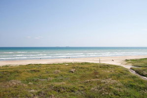 Seville Condominiums By Padre Island Rentals