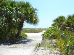 Siesta Key Beach - Bari 665 #2