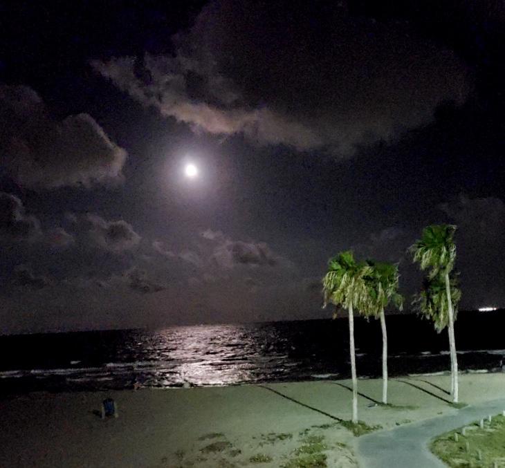 Spectacular Beach View! - thumb 0