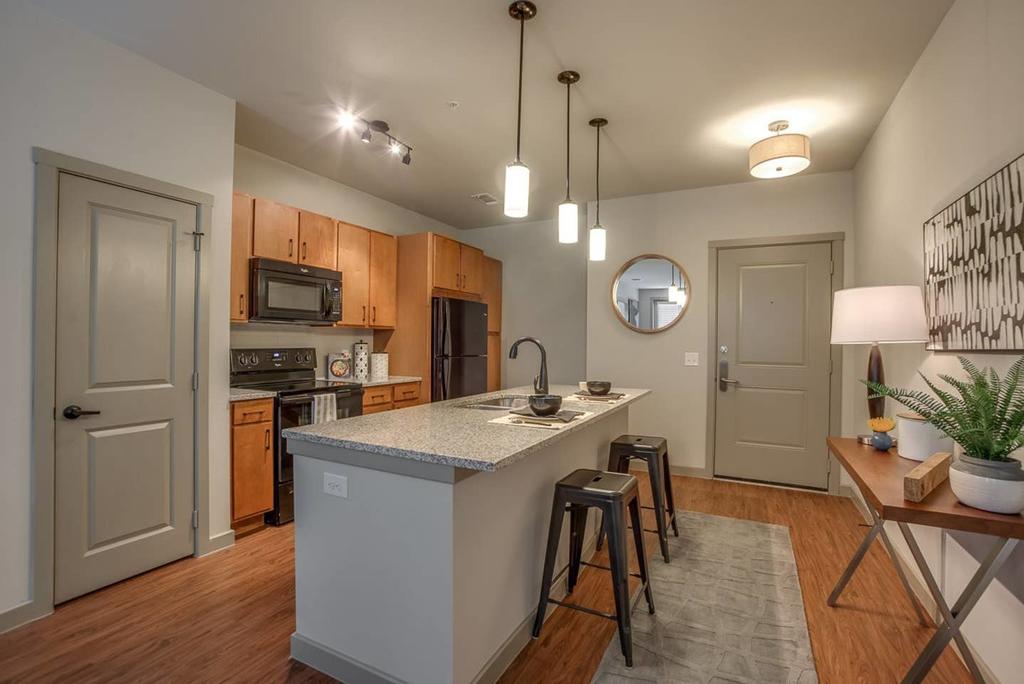Texas Corporate Housing Solutions Professional Apt - thumb 2