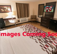Red Roof Inn PLUS Tuscaloosa - University - Accommodation Texas