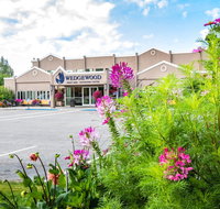 Wedgewood Resort - Accommodation Texas