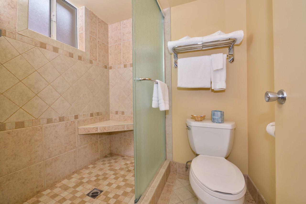 Best Western Plus King's Inn And Suites - thumb 6