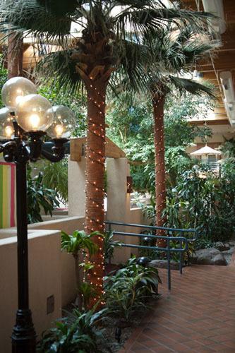 Grand Canyon Plaza Hotel - thumb 27