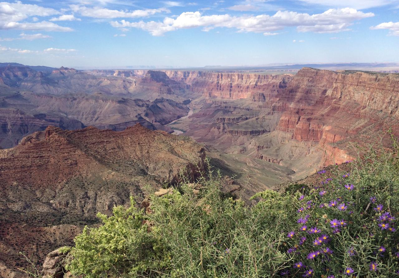 Grand Canyon Plaza Hotel - thumb 33