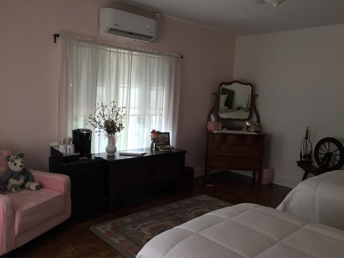 Casa Paloma B&B - thumb 41