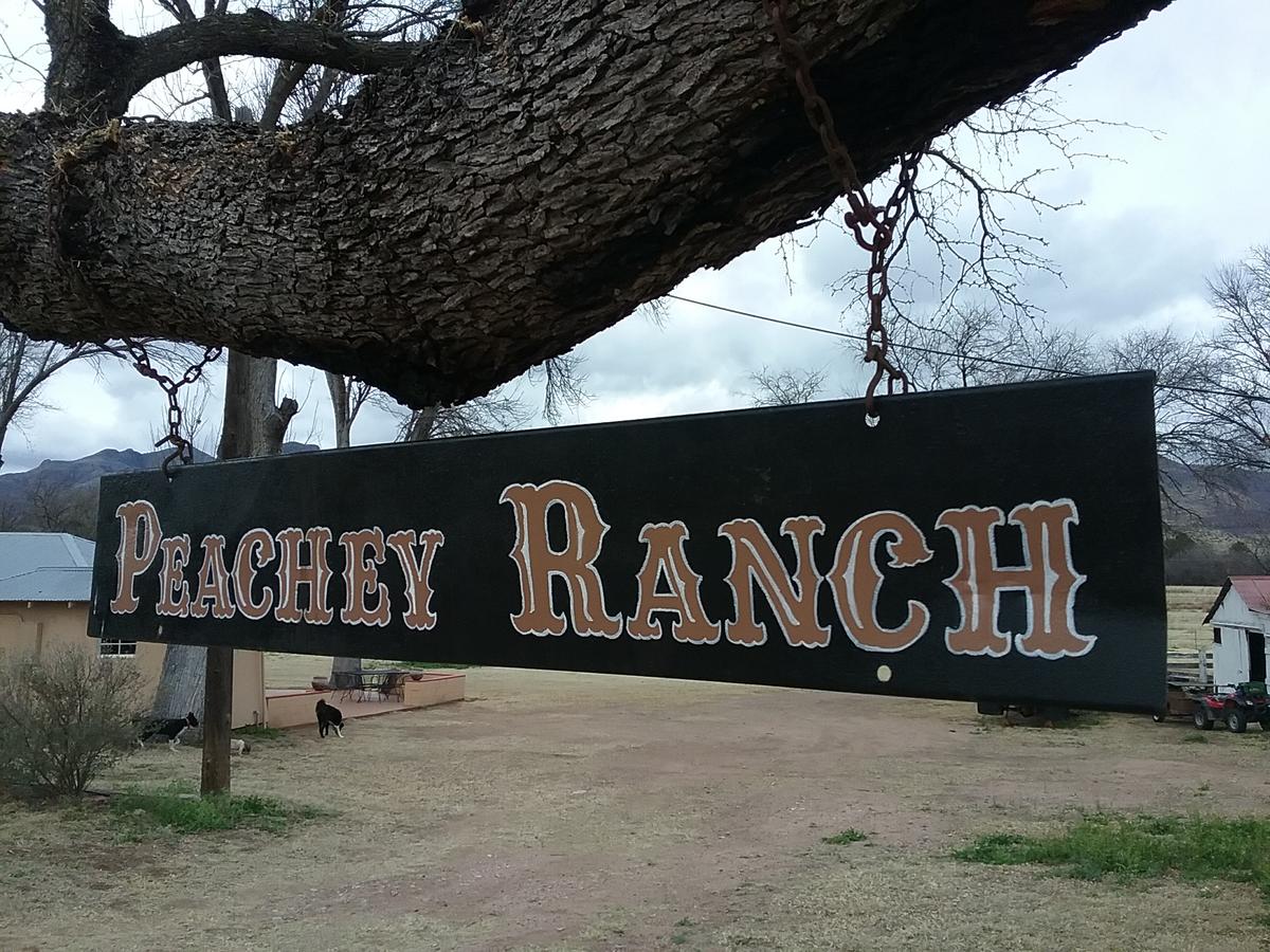 Peachey Ranch Casa - thumb 10