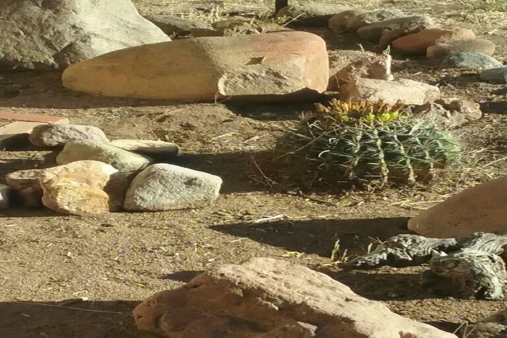 Peachey Ranch Casa - thumb 5