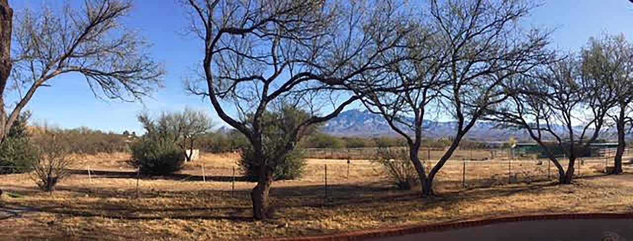 Freedom On The Go Ranch - thumb 22