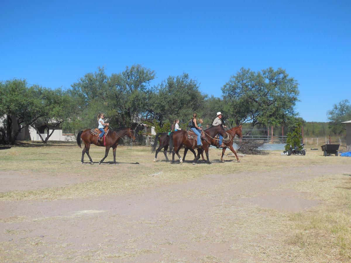 Freedom On The Go Ranch - thumb 23
