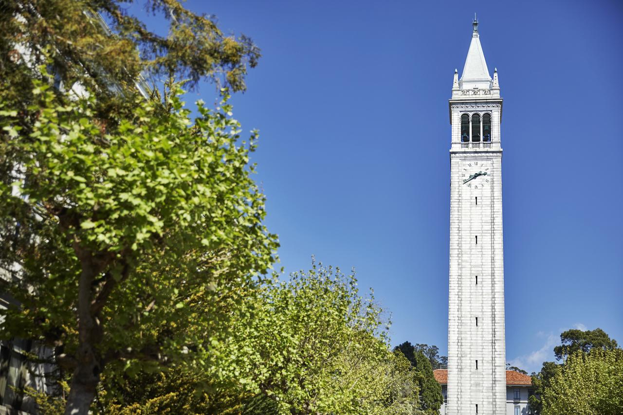 Graduate Berkeley - thumb 32