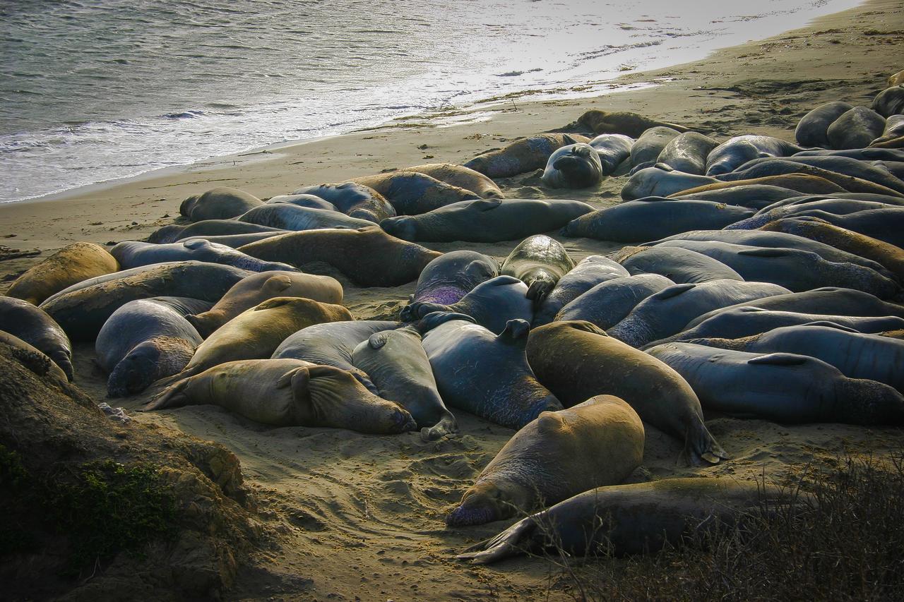 Morro Bay Beach Inn - thumb 22