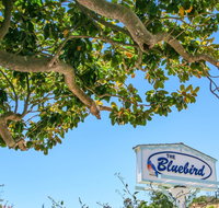 Bluebird Inn - Accommodation Texas