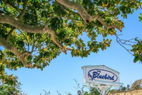 Booking Cambria Accommodation Texas